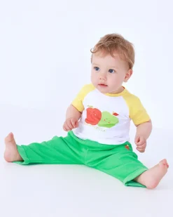 Conjunto de felpa para niño con camiseta de manzanas, pantalón verde y chaqueta con cremallera
